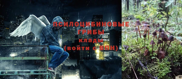 Альфа ПВП Алексин