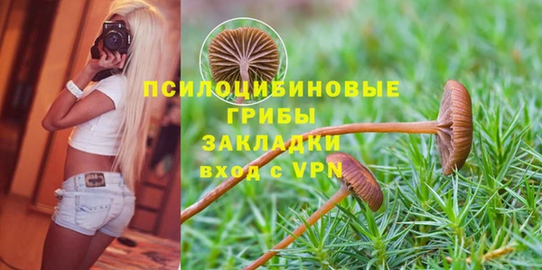 Альфа ПВП Алексин