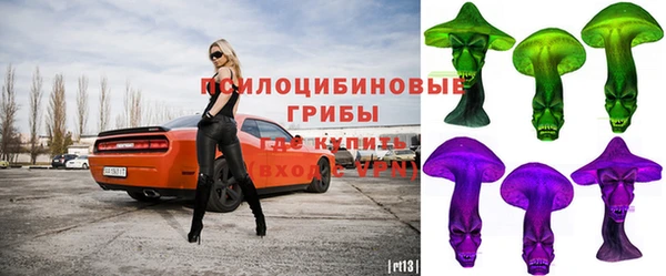 Альфа ПВП Алексин